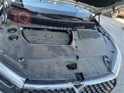 دونج فينج فينوسيا